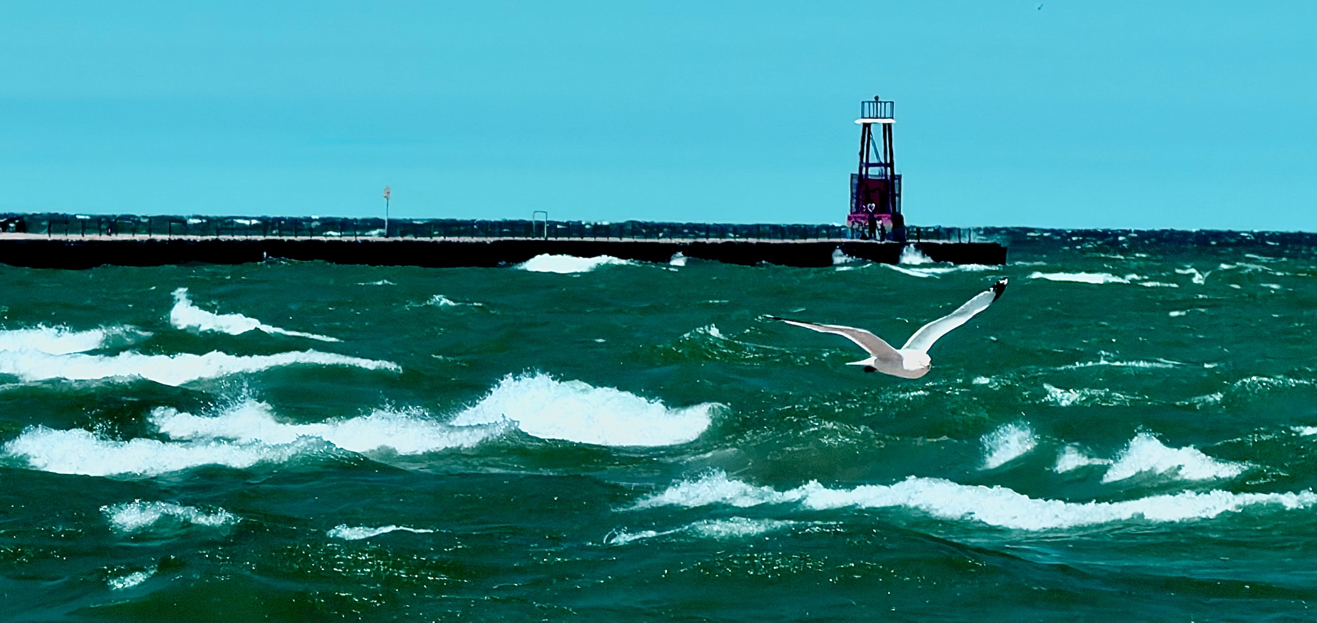 Lake Michigan surf